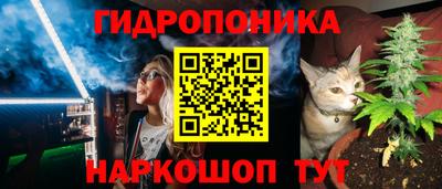 шишки Можга